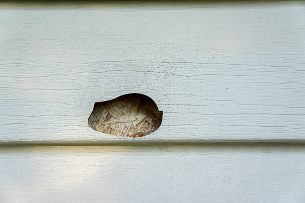 A close up of the hole in the side of a house